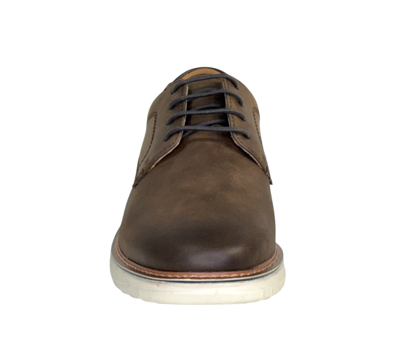 Zane in Brown