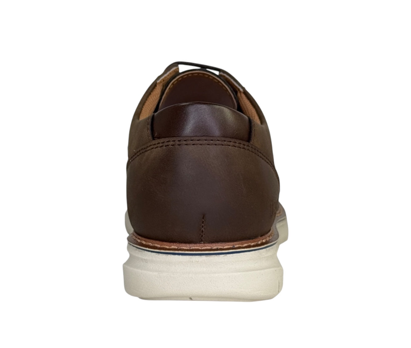 Zane in Brown